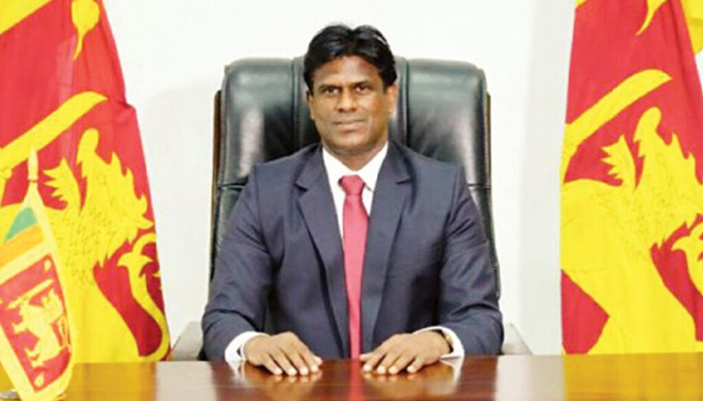 Article Daily