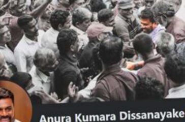 Article Daily